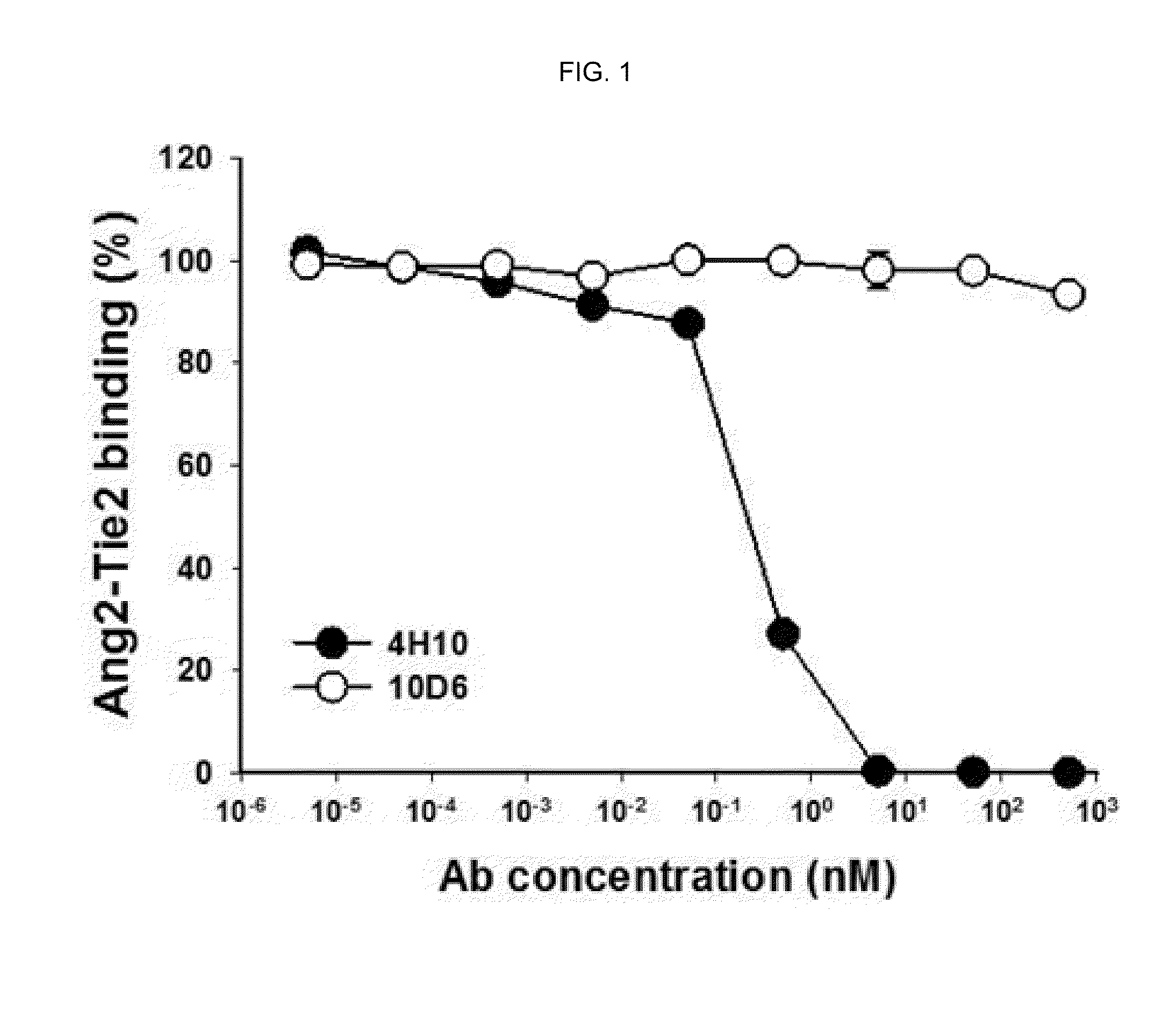 Method of blocking vascular leakage using an Anti-ang2 antibody