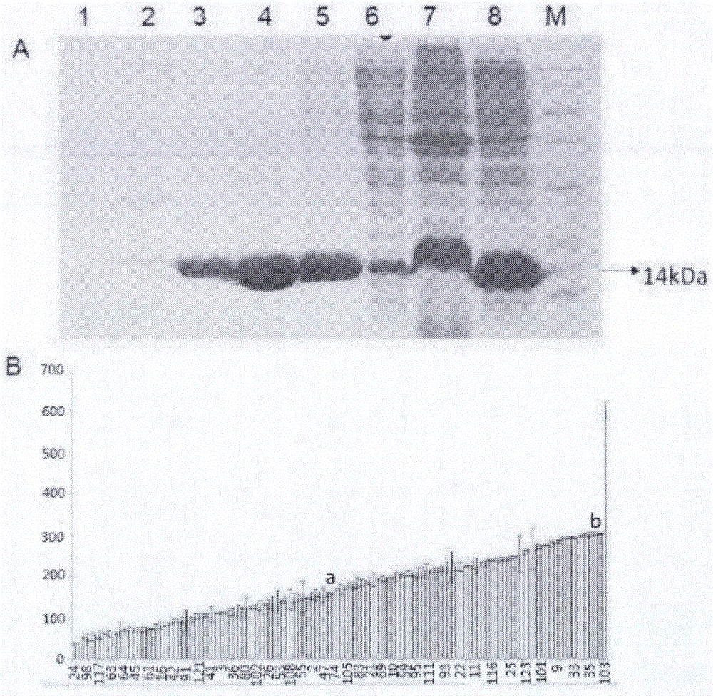 Lead compound using human FKBP51 protein as target as well as screening method and application thereof