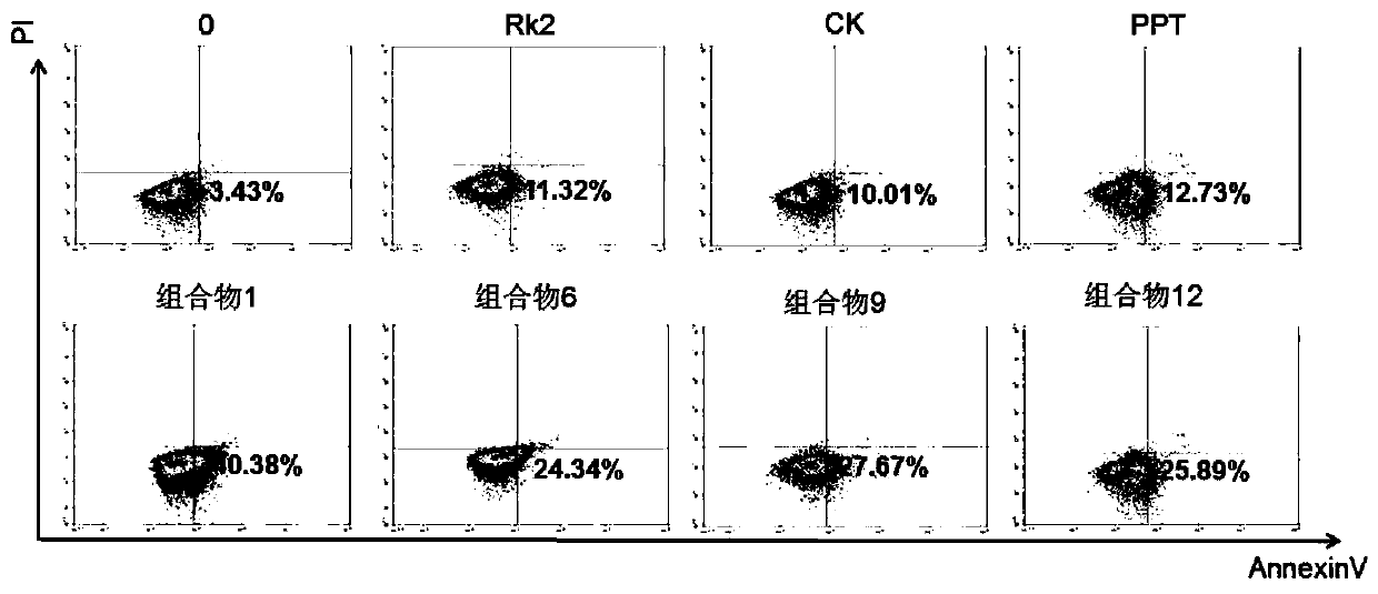 Anti-tumor compositions comprising rare ginsenoside Rk2, CK and PPT