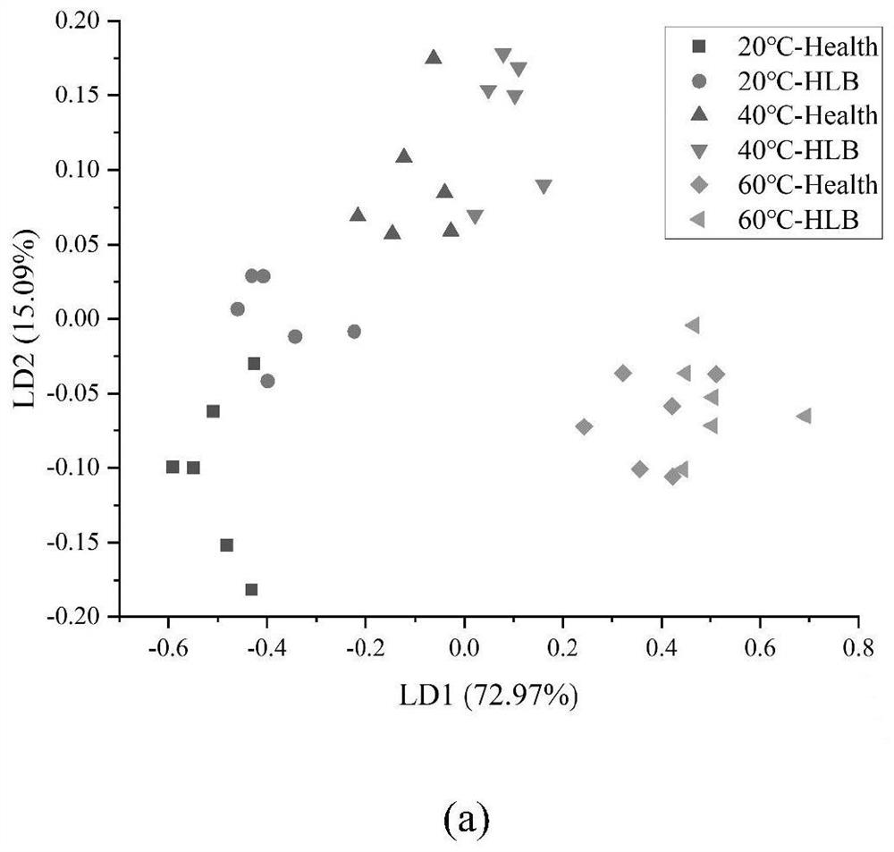 Citrus huanglongbing detection method based on electronic nose