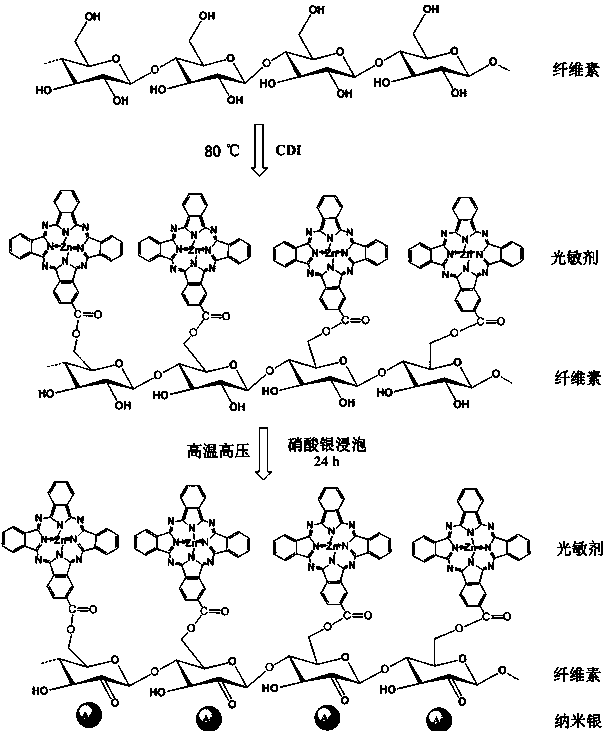 Bicomponent antibacterial cellulose material and preparation method and application thereof