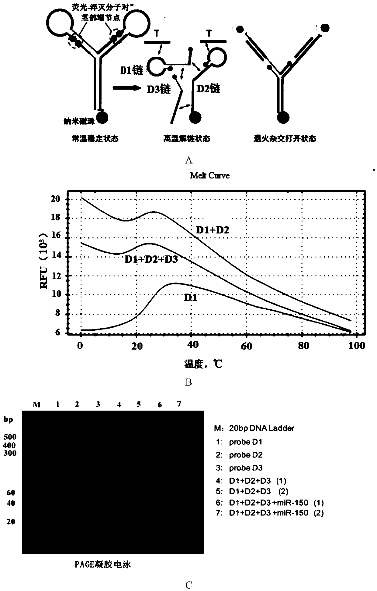 Kit and detection method based on ultrasensitive detection device of peripheral blood free nucleotide miRNAs