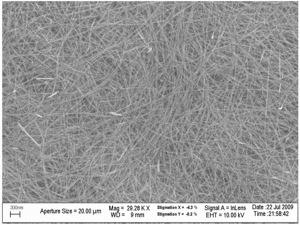 Method for preparing titanium dioxide nanowire
