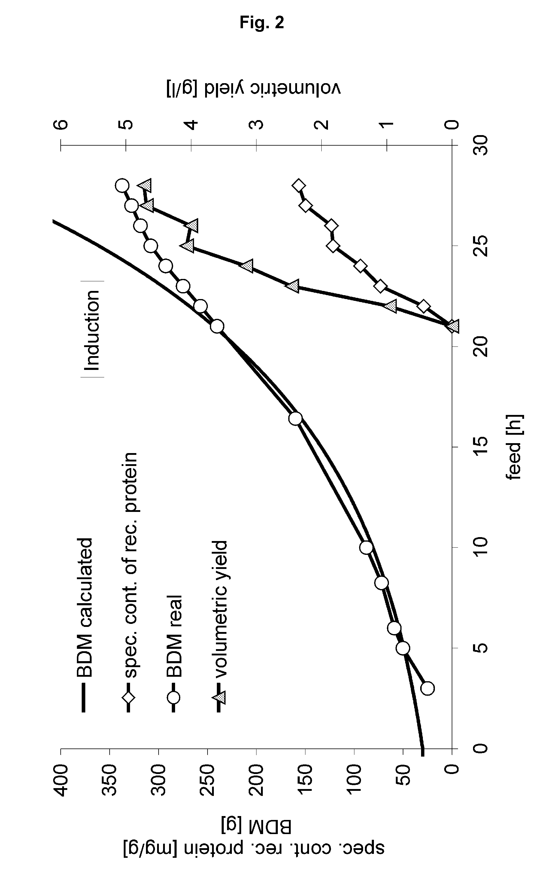 Method for producing a recombinant protein on a manufacturing scale