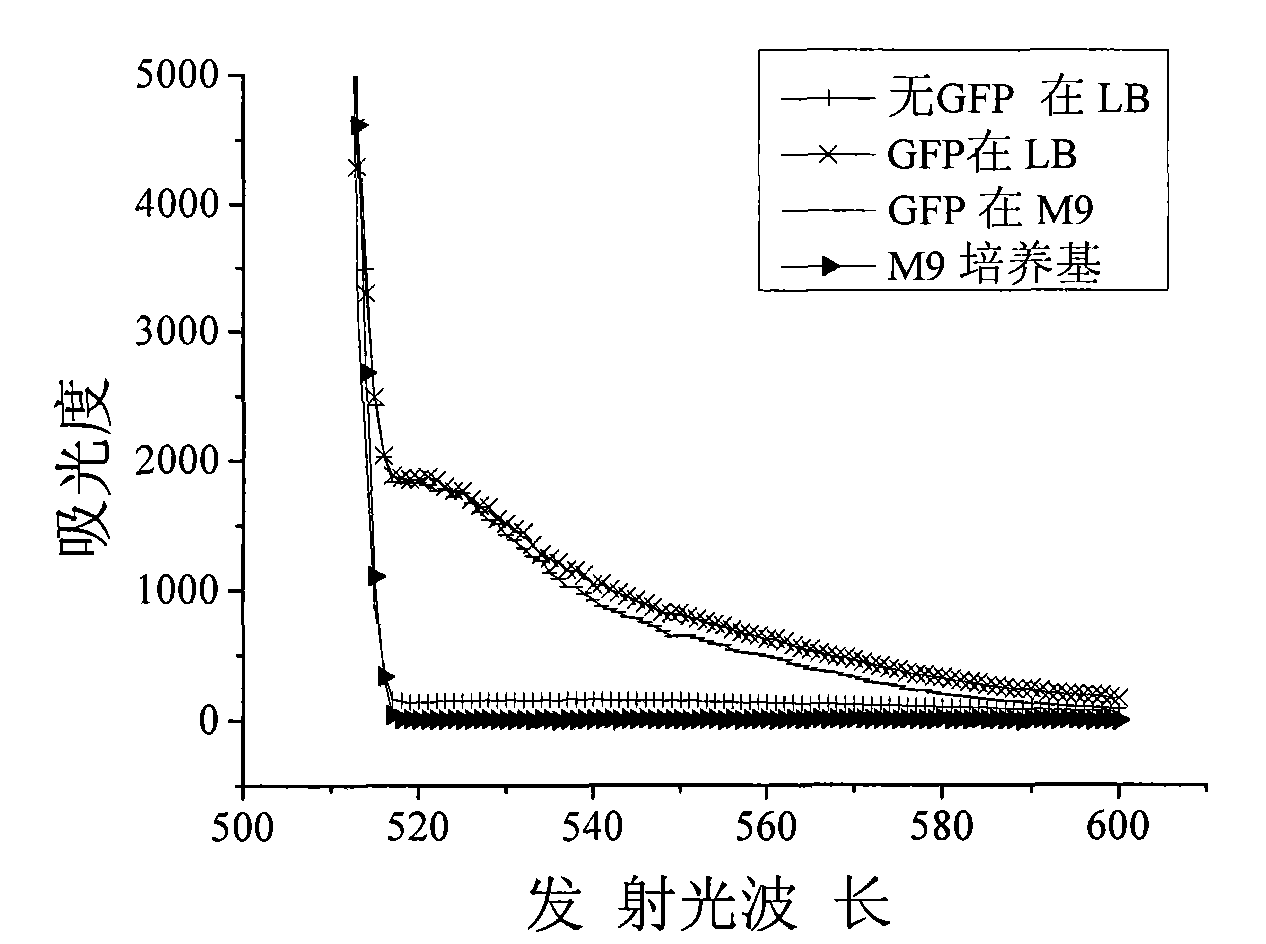 Detection method of toxicity of nanomaterials