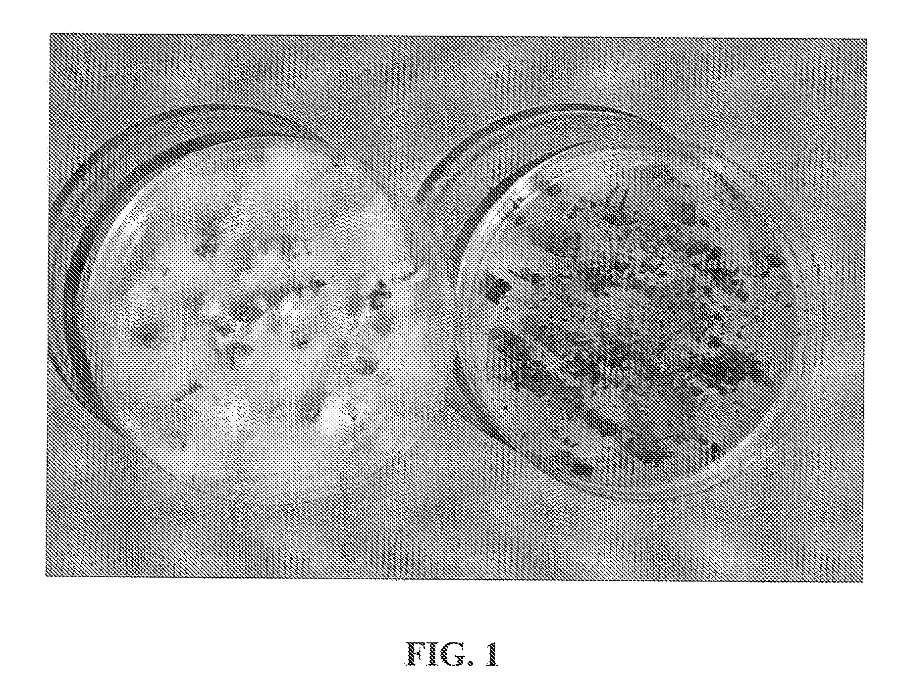 Compositions of volatile organic compounds and methods of use thereof