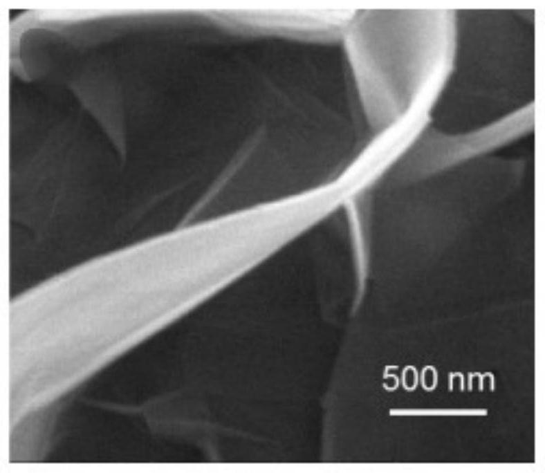 A kind of nitrogen-doped graphene and preparation method thereof