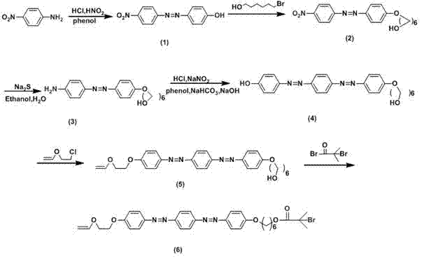 Method for preparing photosensitive graft polymer containing double-azobenzene