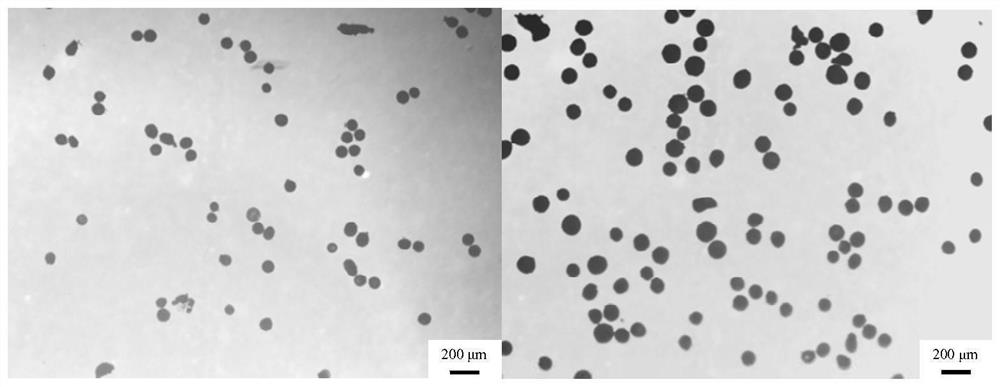 A kind of pH fluorescent dye, pH fluorescent probe, preparation method and application