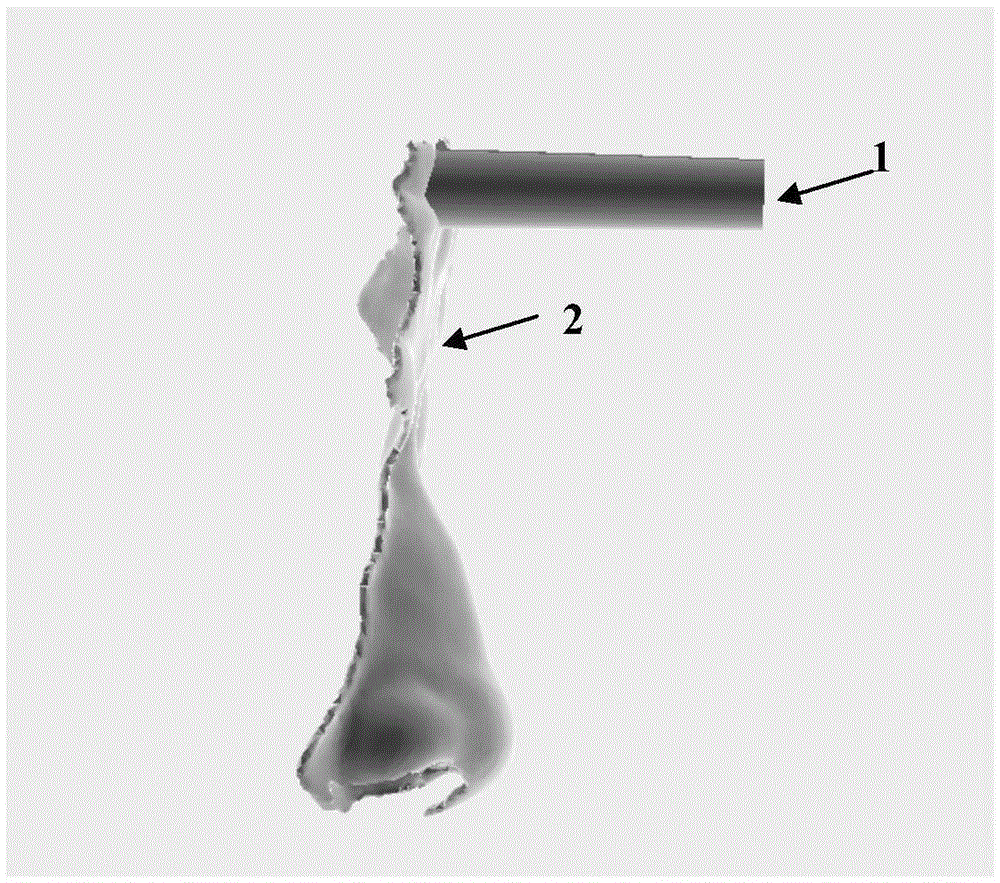 Guiding stent based on 3D printing and used for cerebral hemorrhage minimally invasive surgery and preparation method thereof