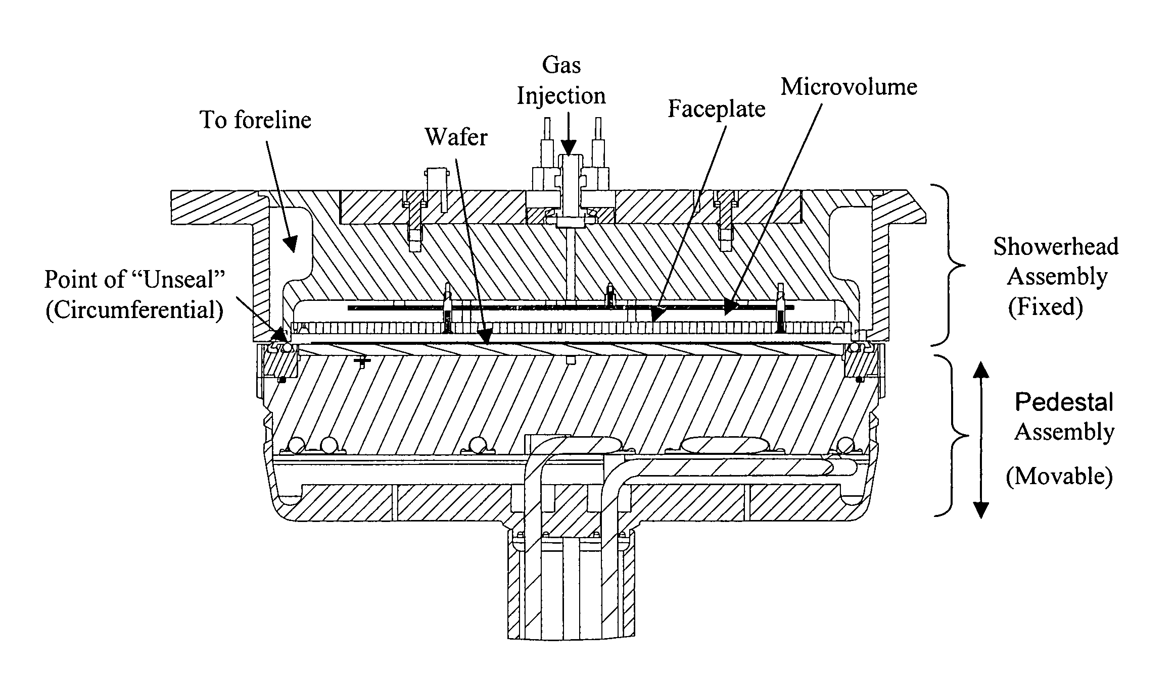Dual seal deposition process chamber and process