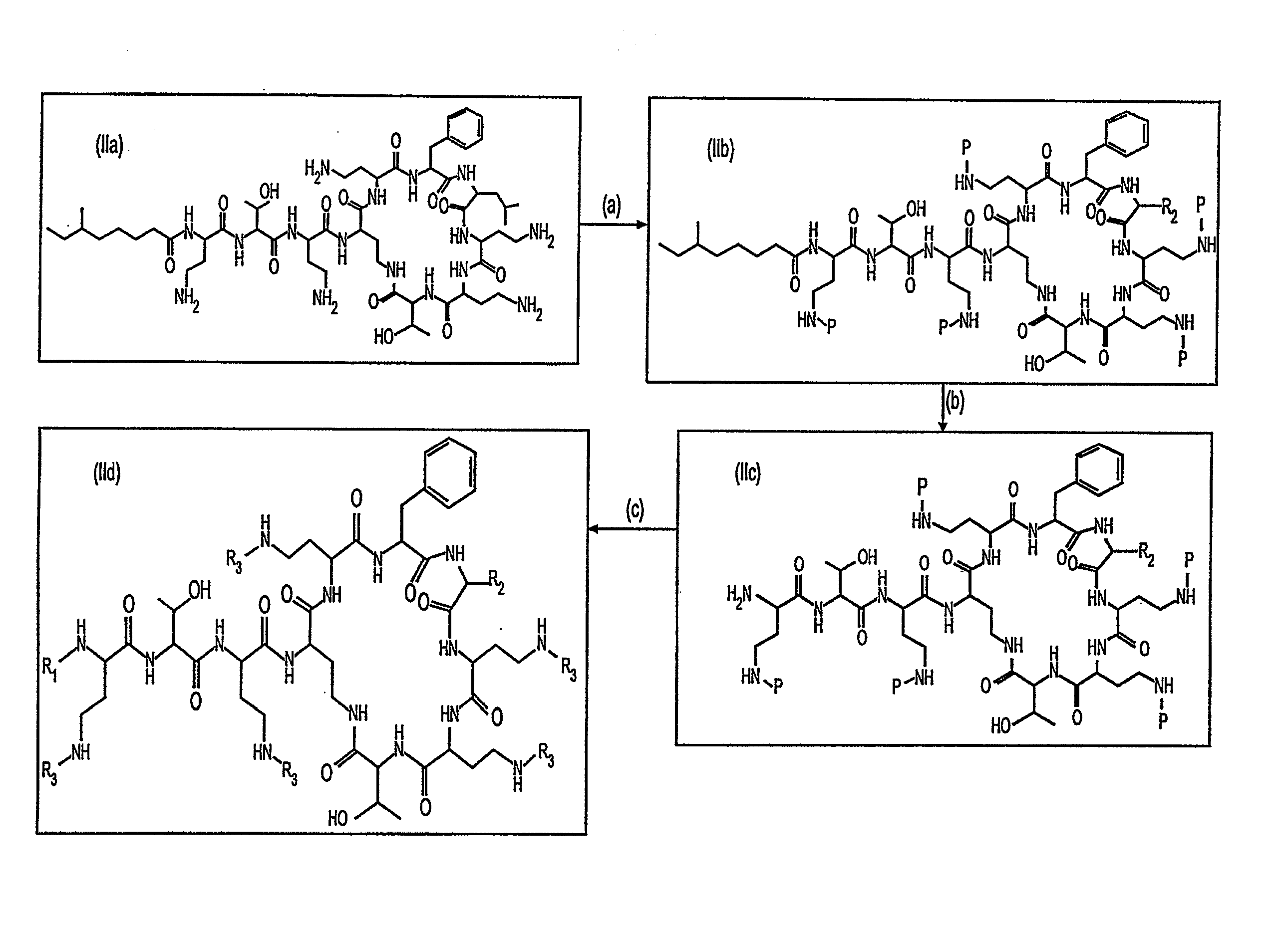 Antibiotic compositions for the treatment of gram negative infections