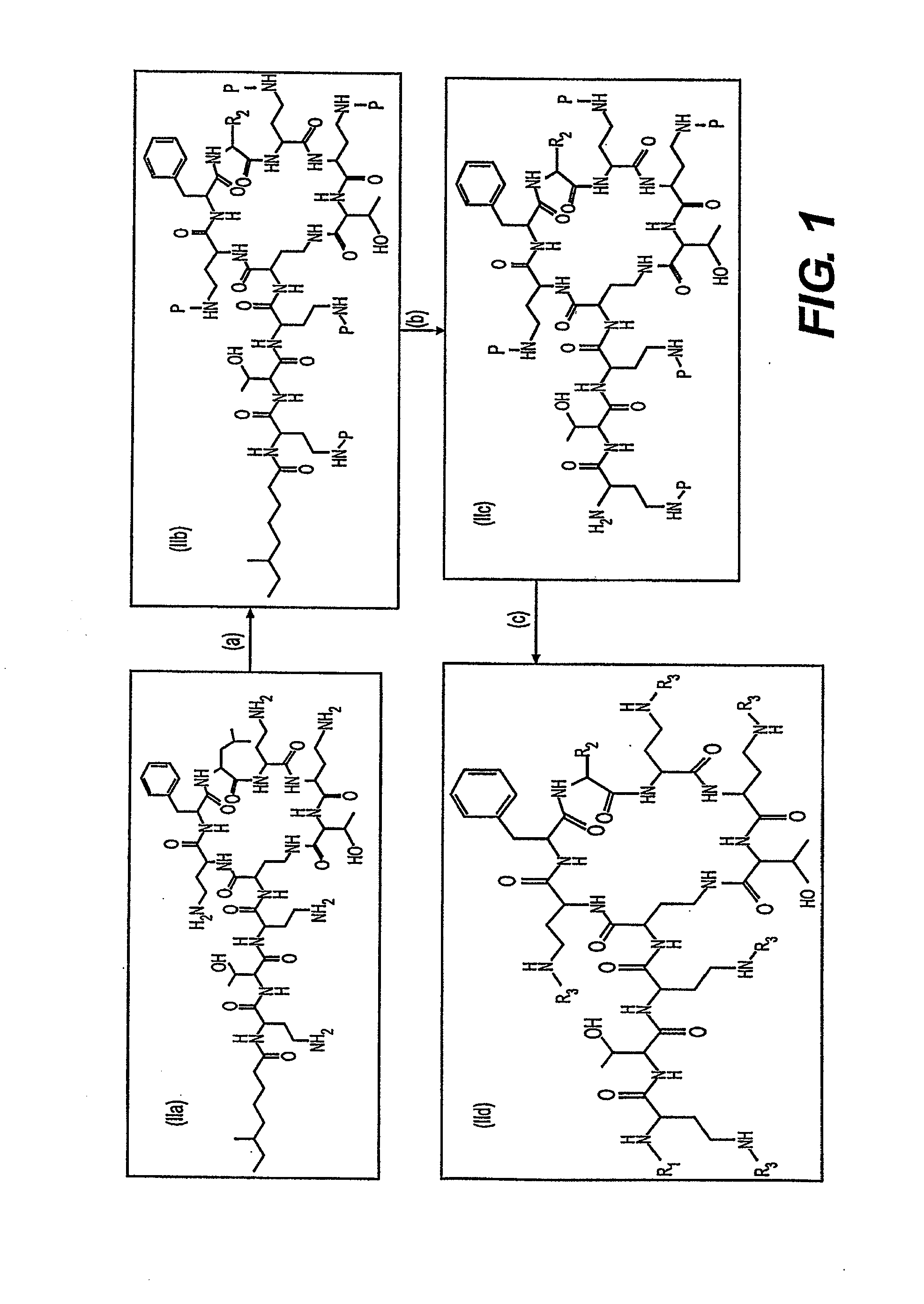 Antibiotic compositions for the treatment of gram negative infections