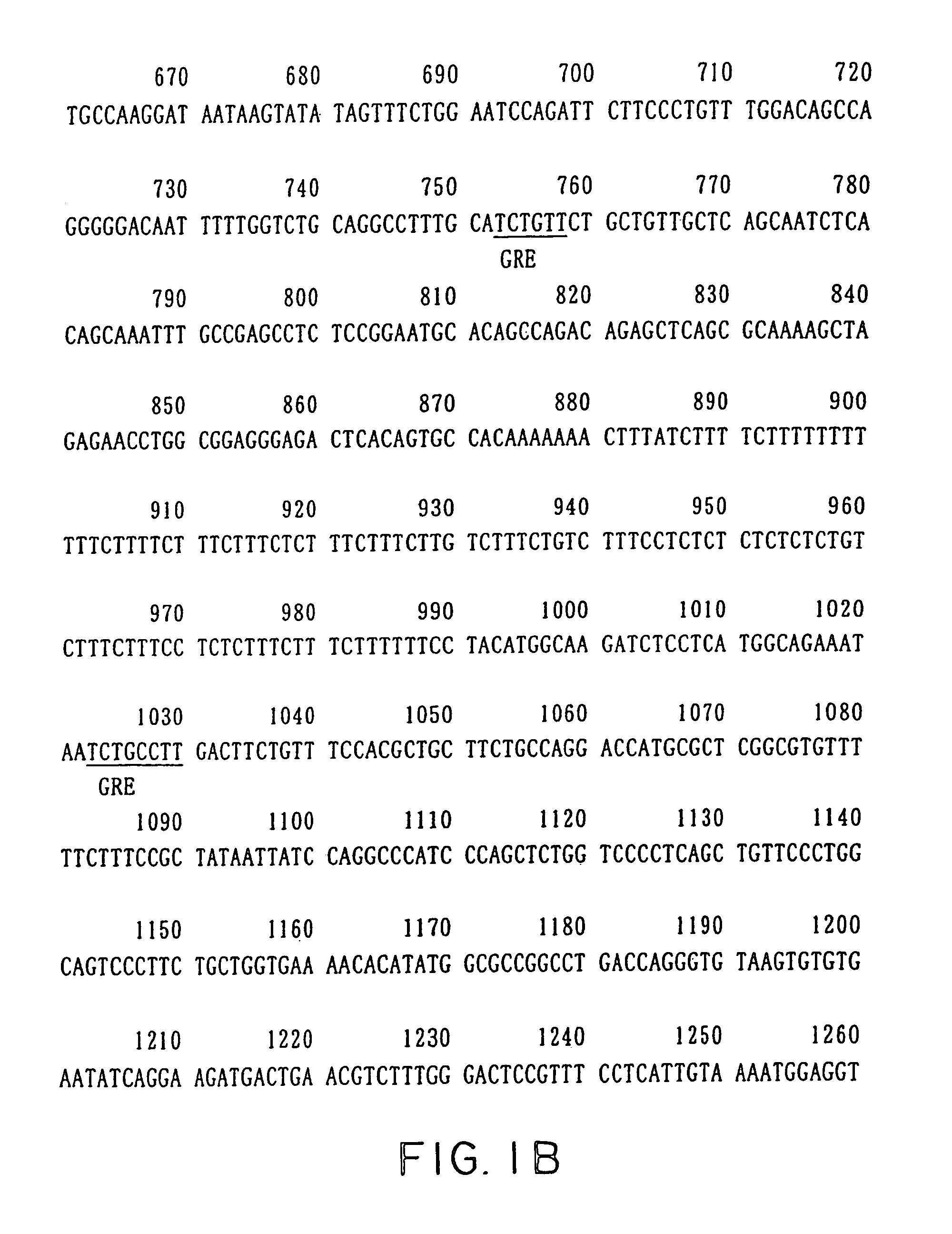 Ucp-2 promoter and use thereof