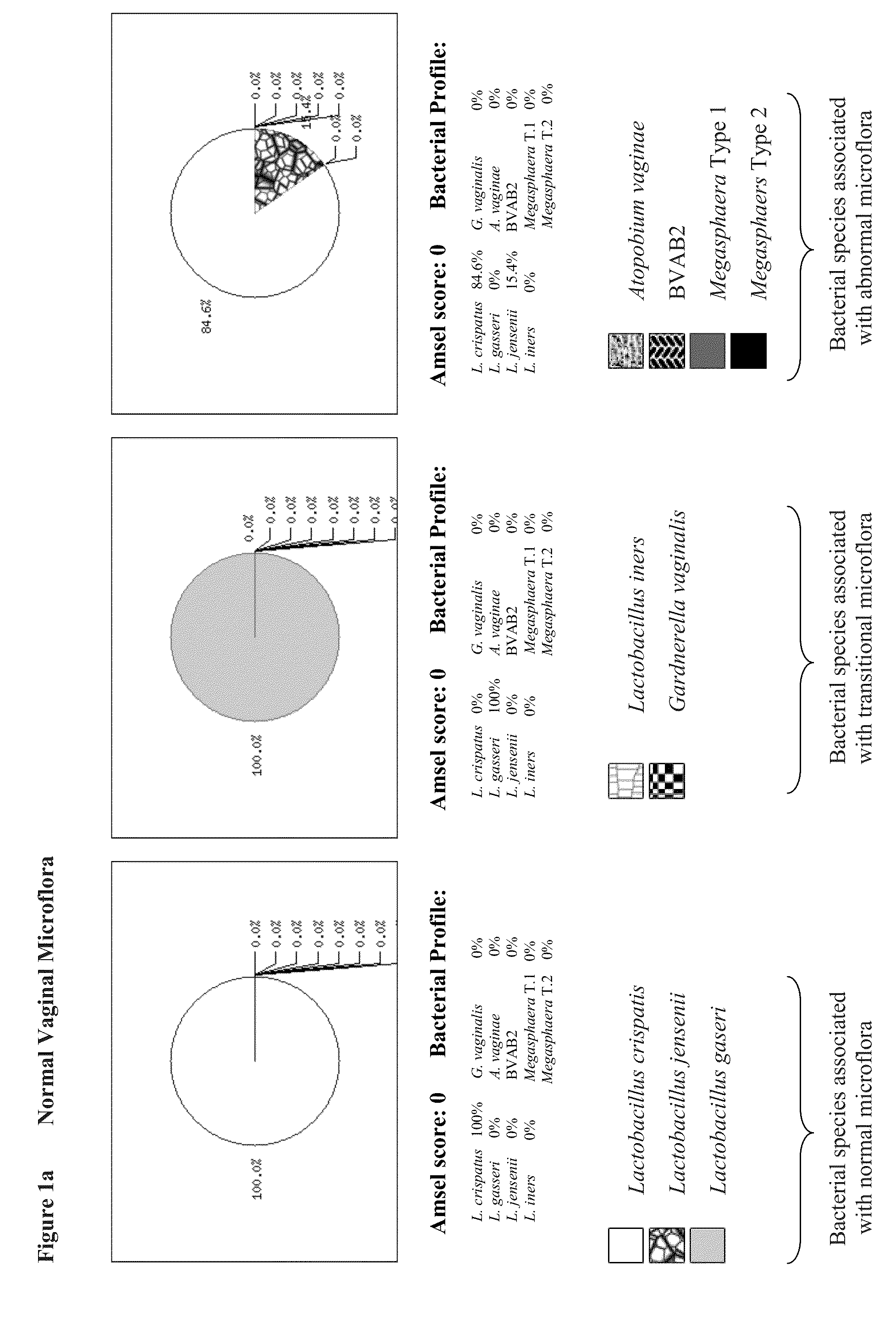 Quantitation and profiling of vaginal microflora