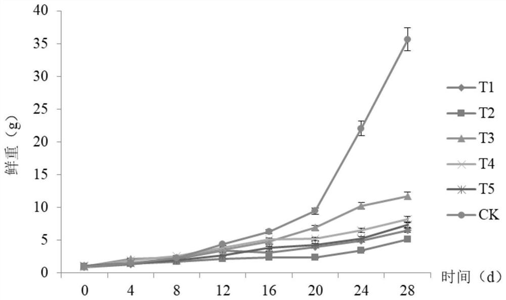 Tail water utilization process of a circulating aquaculture system