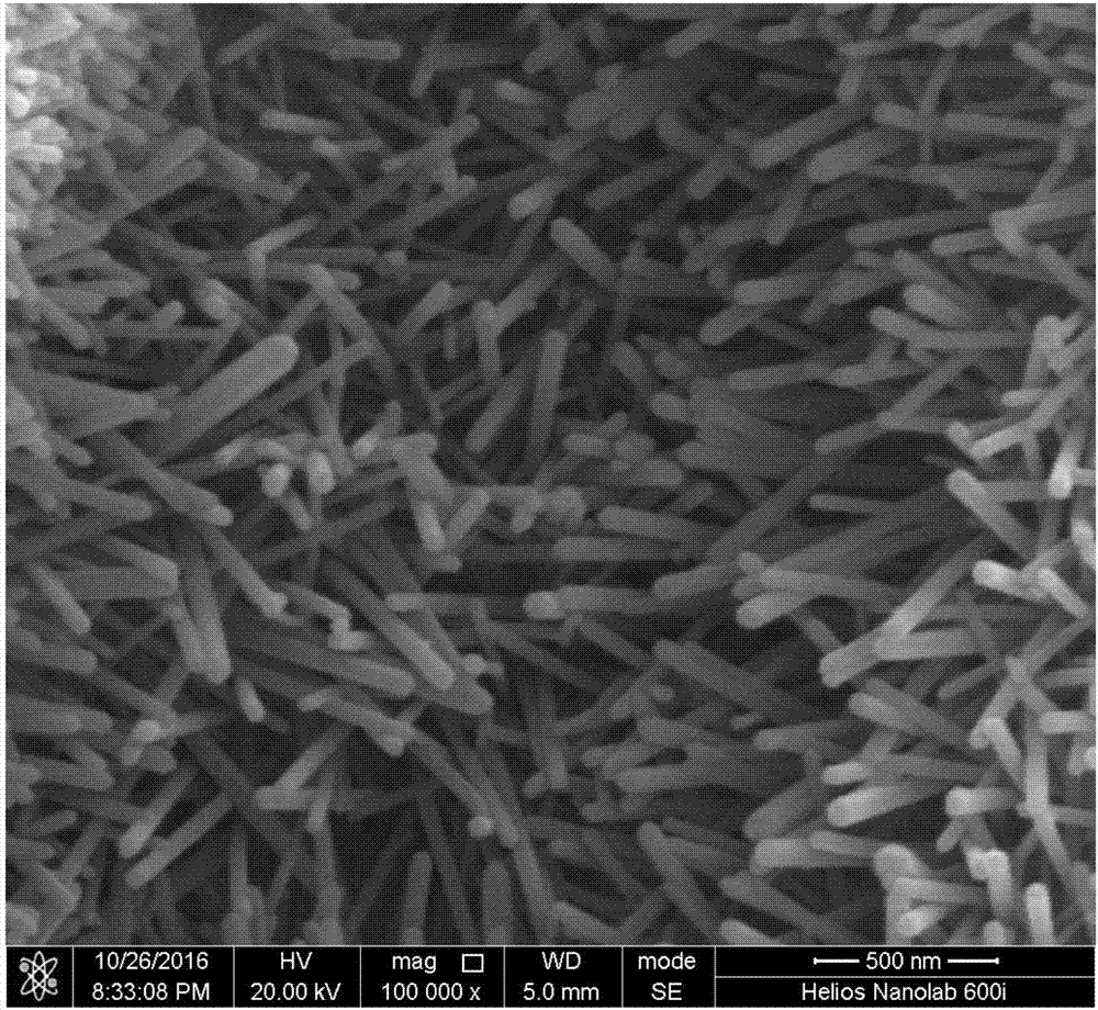 Preparing method for constructing apatite nanowire similar to parodontium fiber bundle on titanium micro-arc oxidation coating surface through microwave moisture