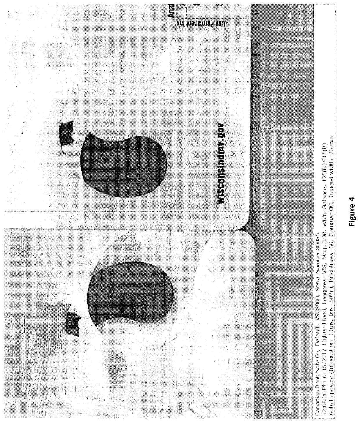 Method for making window, embedded watermark and other integrated security features in a thermoplastic security document