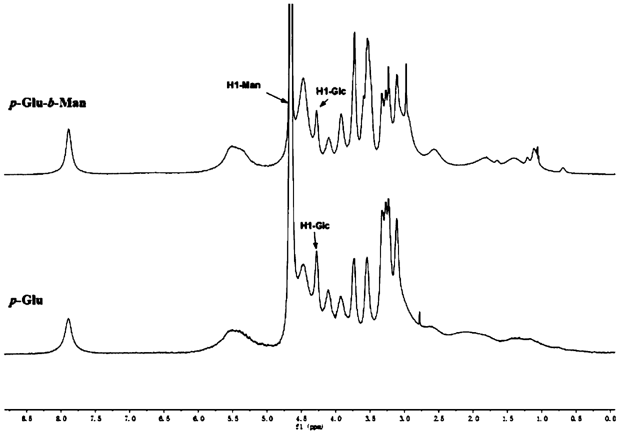 Preparation method of polynorbornene skeleton sugar polymer and its application in the synthesis of fucoidan sulfate mimics