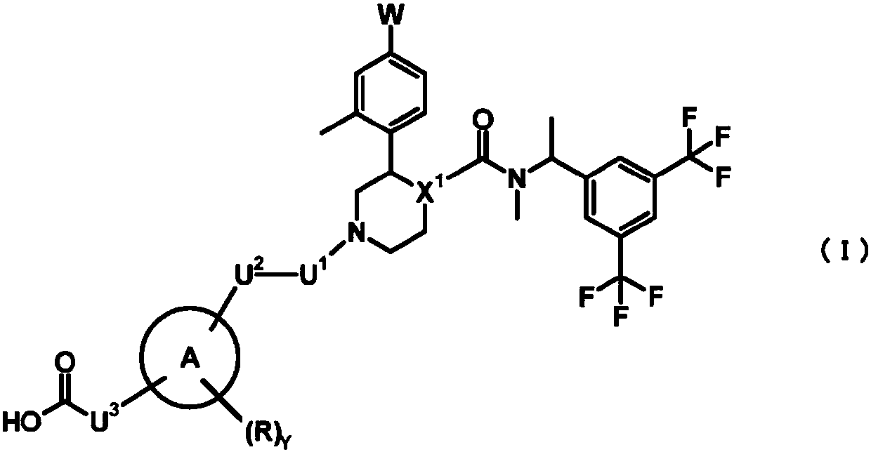 Nk1 receptor antagonist