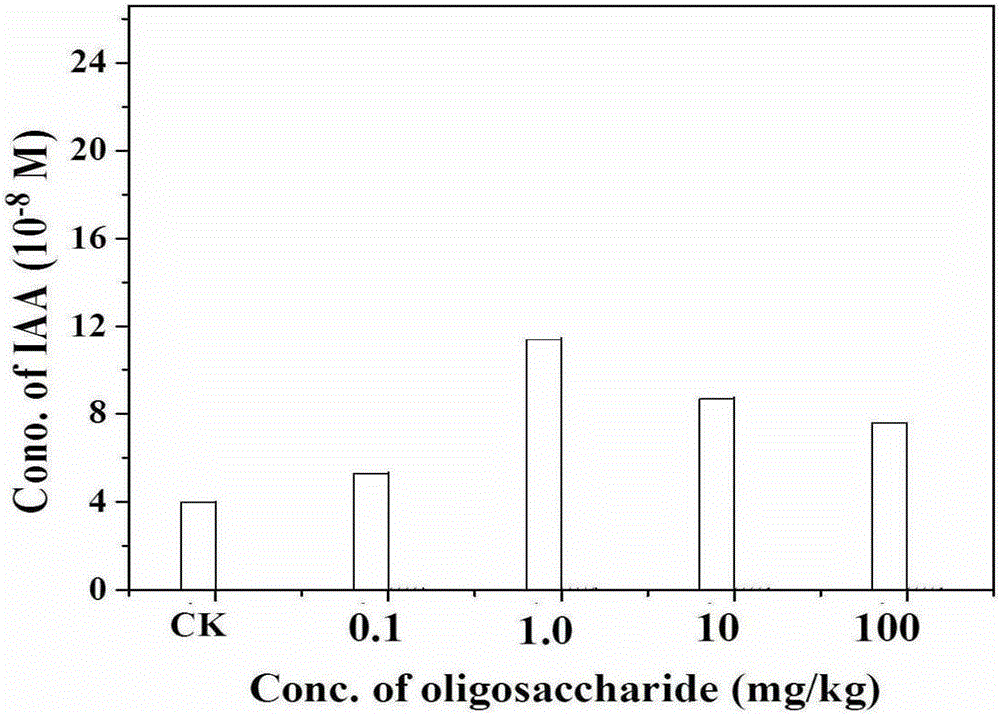 Plant wound healing agent containing sodium alginate oligosaccharide and use of plant wound healing agent