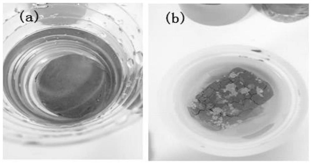 Treatment method for synergistically solidifying waste incineration fly ash and evaporation concentrated solution obtained after waste membrane treatment