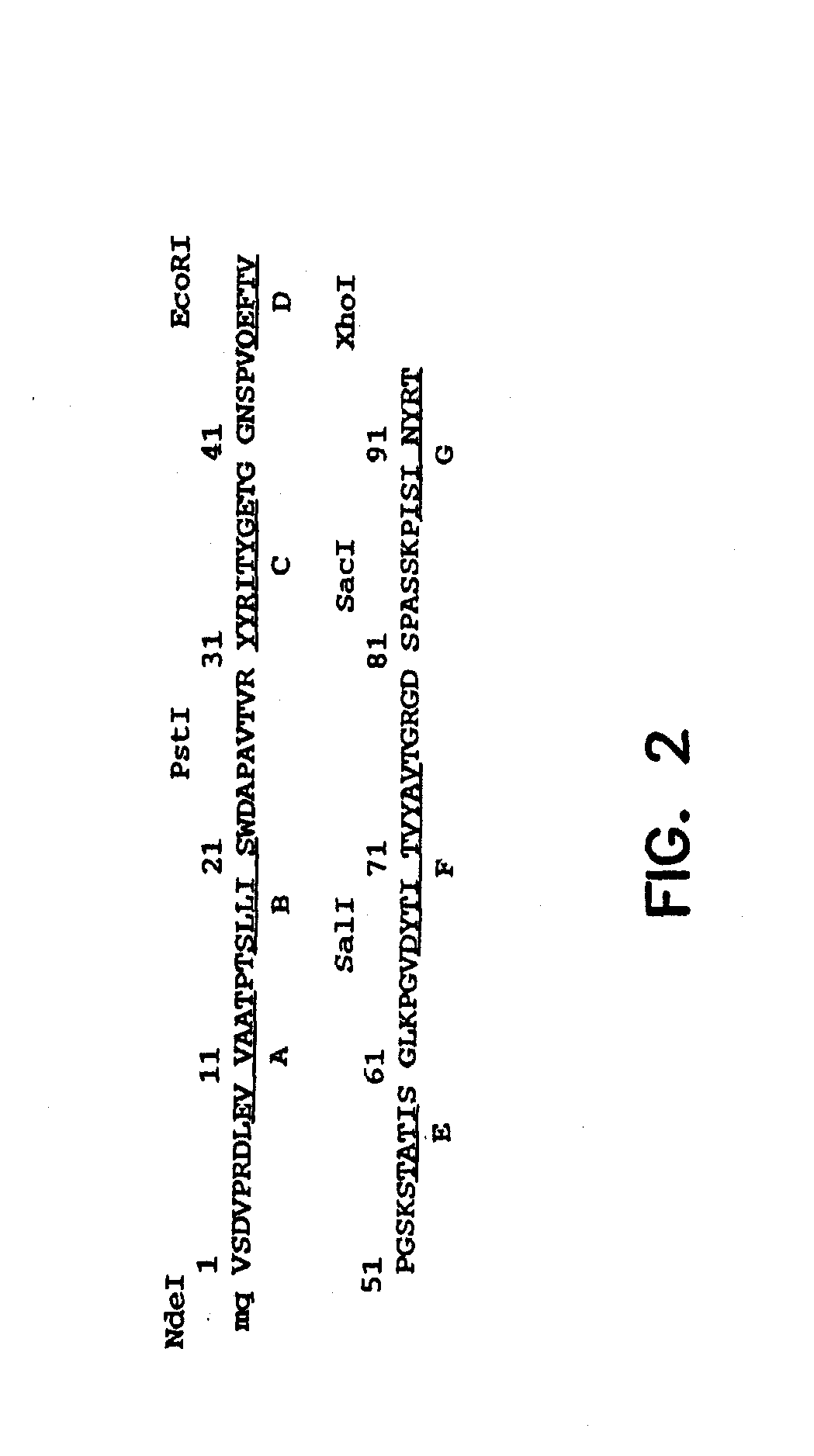 Reconstituted polypeptides