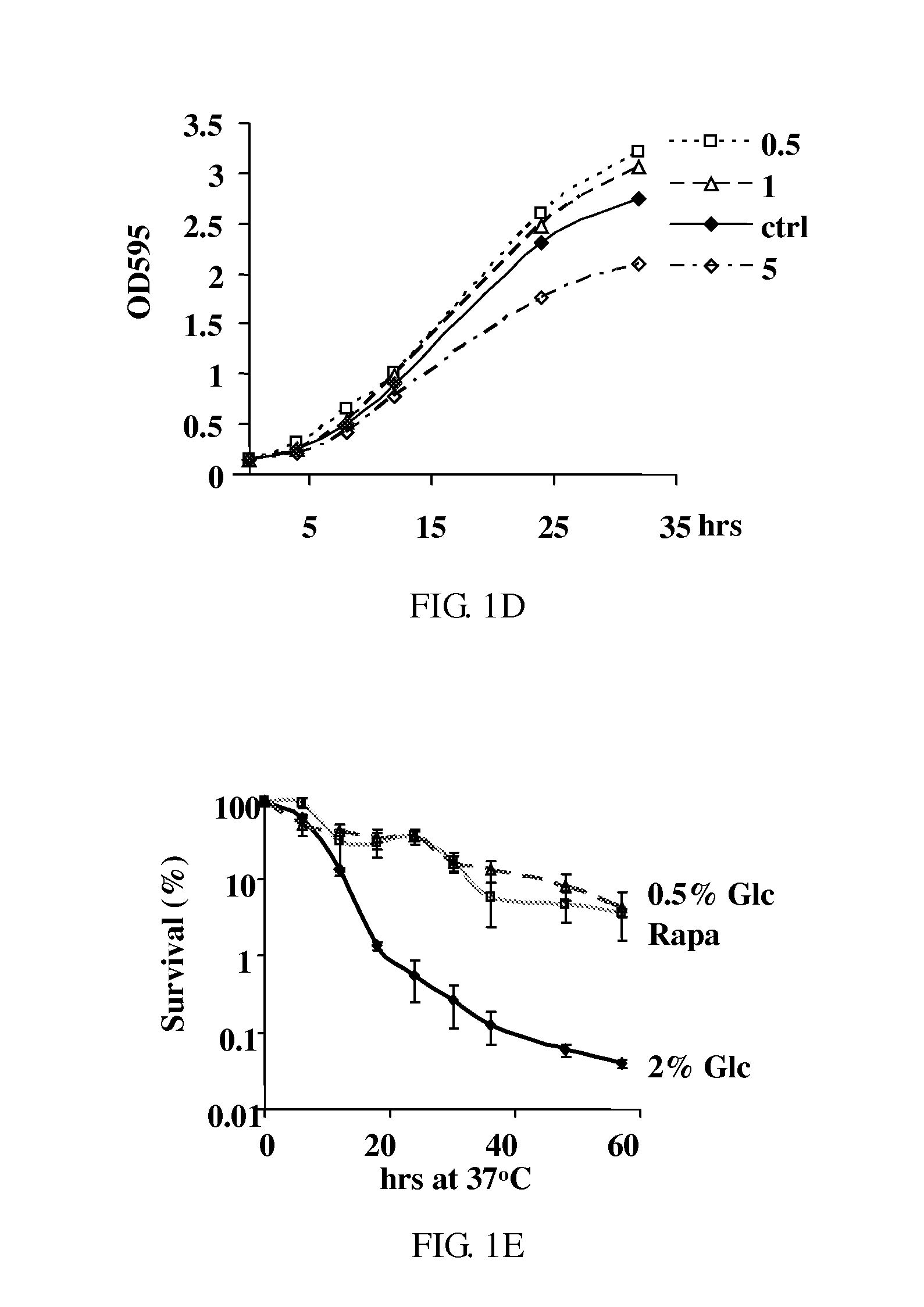 Novel Anti-aging agents and methods to identify them