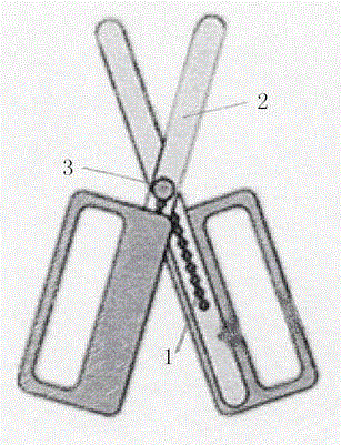 Extendable scissors