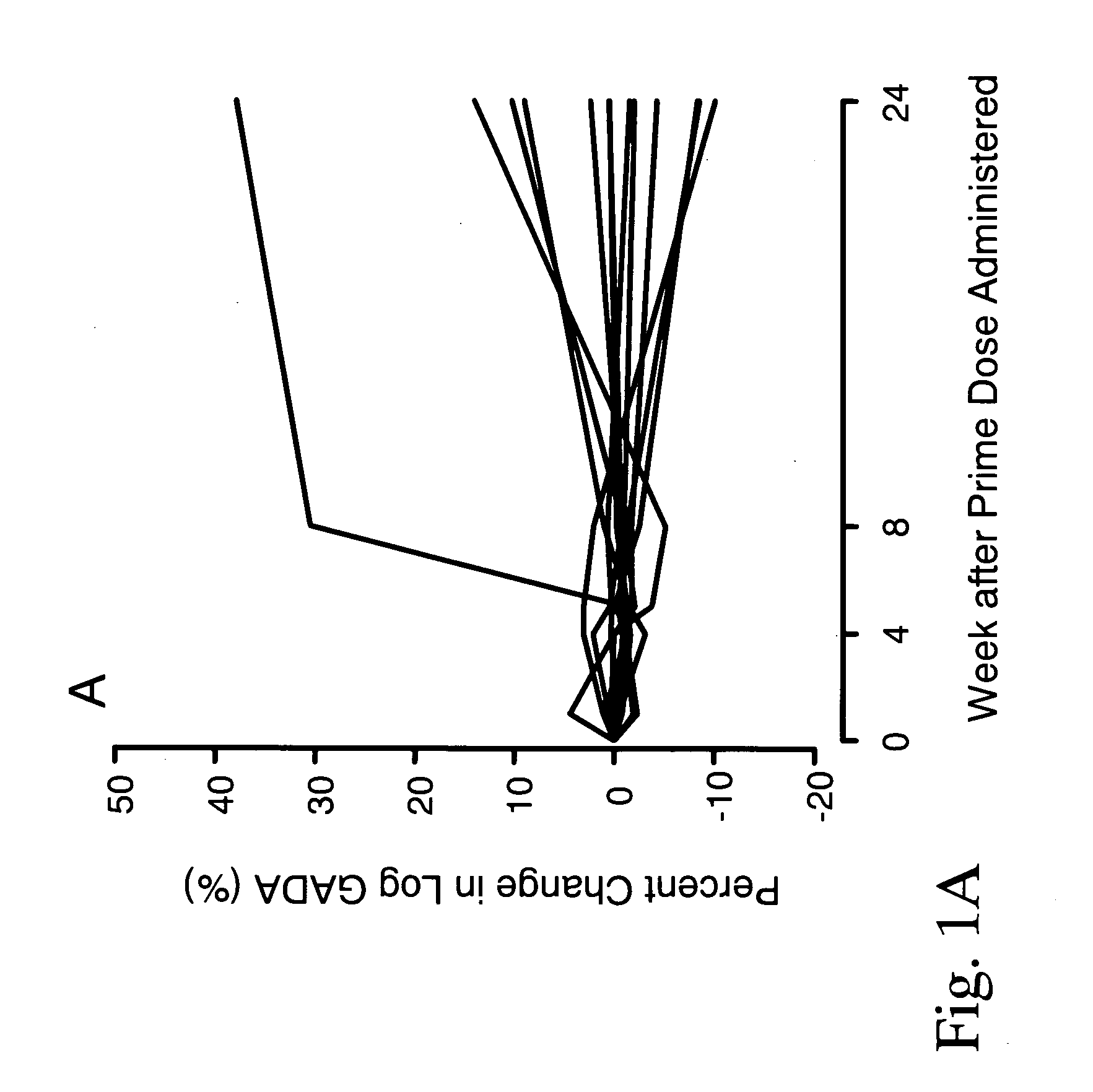 Immunomodulation by a therapeutic medication intended for treatment of diabetes and prevention of autoimmune diabetes