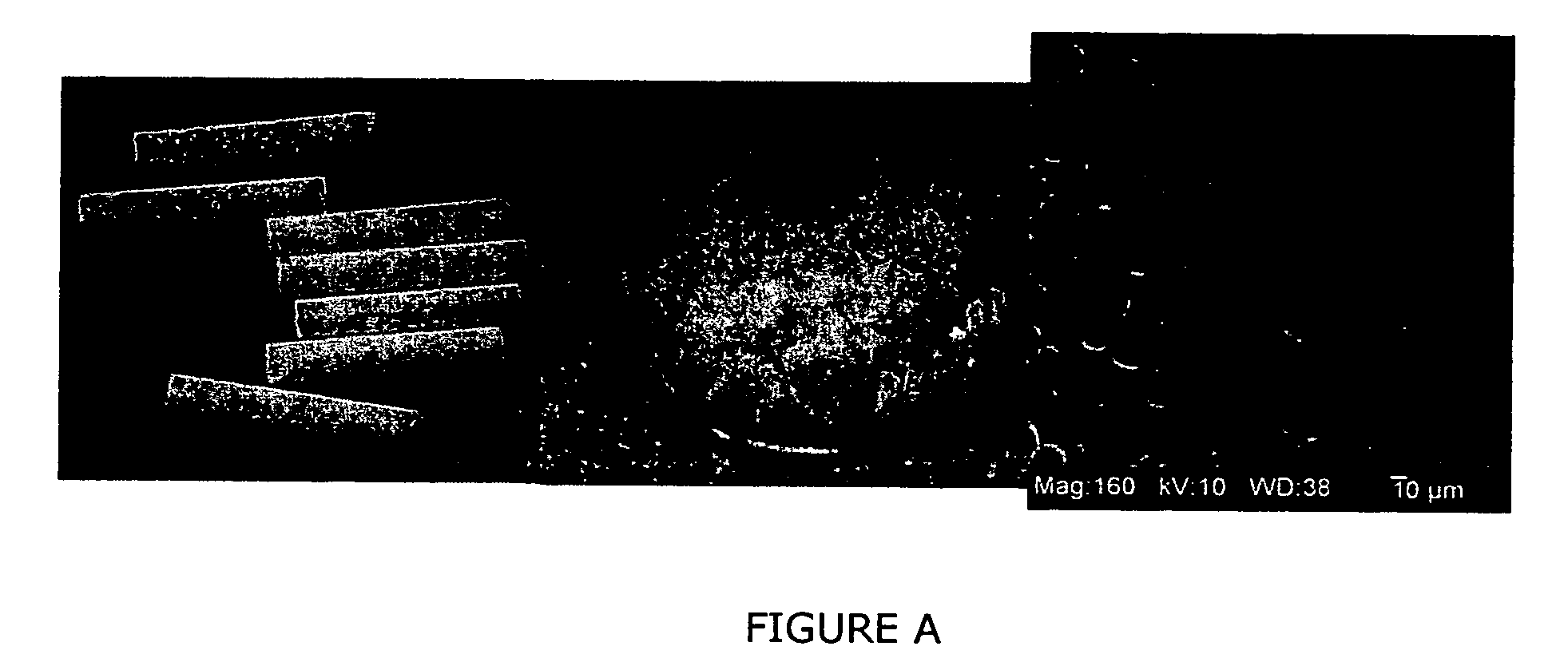 Three dimensional micro-environments and methods of making and using same
