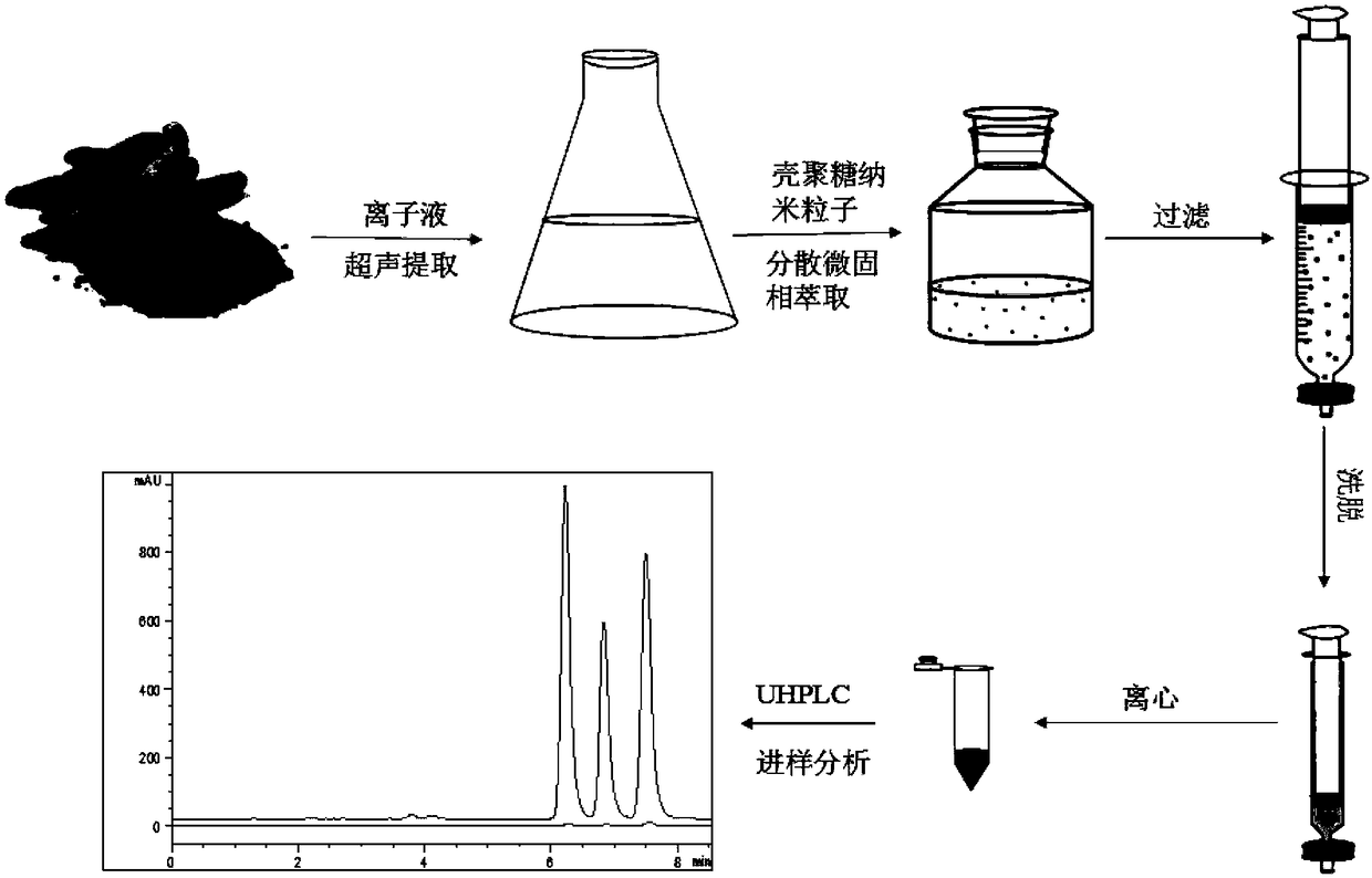 Method for extracting and enriching radix curcumae longae