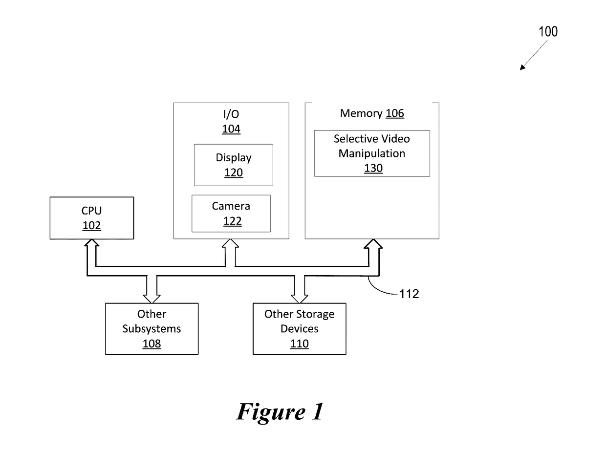 Video Manipulation for Privacy Enhancement