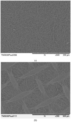 Primary intestinal cell based in-vitro intestinal model and construction method and application thereof