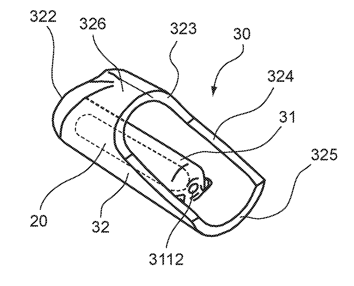 Device for Fixing a Temperature Sensor Intended to be Placed in the Auditory Canal of an Animal