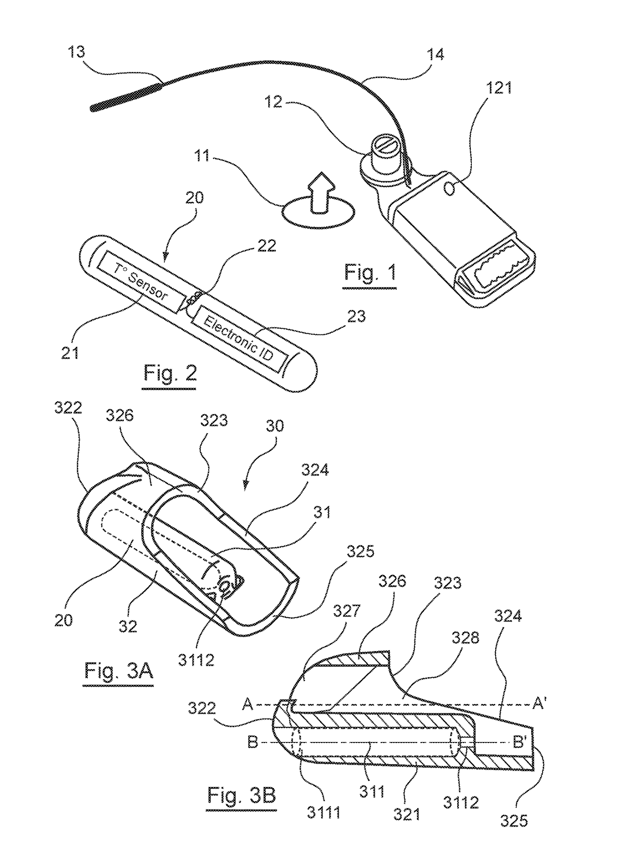 Device for Fixing a Temperature Sensor Intended to be Placed in the Auditory Canal of an Animal