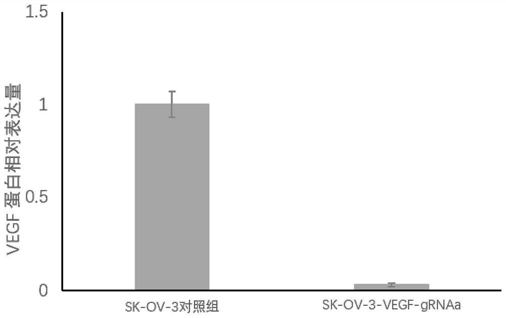 Application of CRISPR gene editing combined PD-1 antibody in cancer treatment