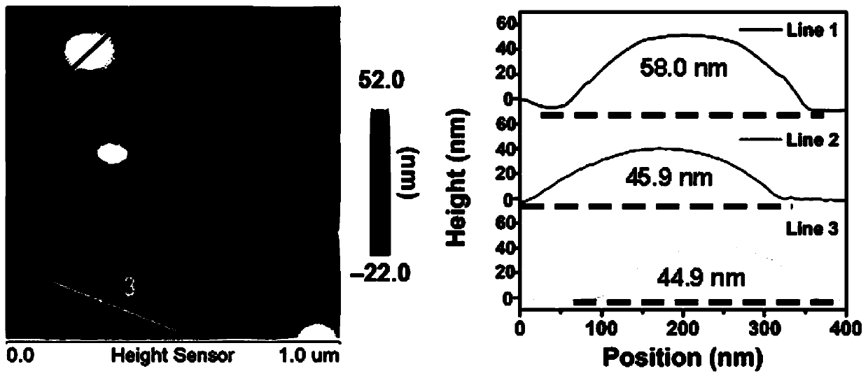 Near-infrared light-responsive nano-liposomes, preparation method of near-infrared light-responsive nano-liposomes, and application in synergetic treatment of tumors