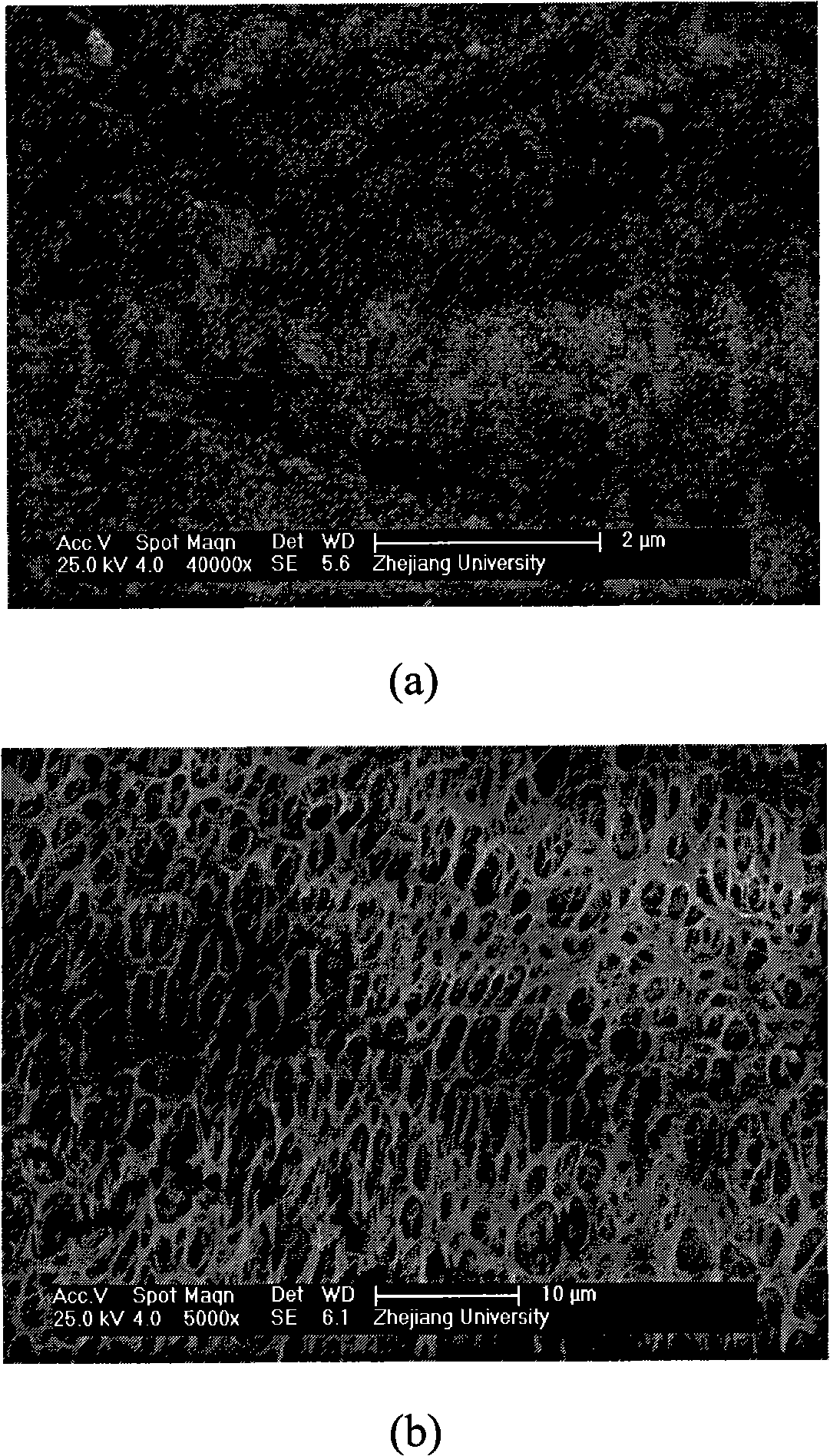 Preparation method of polyvinylidene fluoride hollow fiber composite microporous film with strong interface binding power