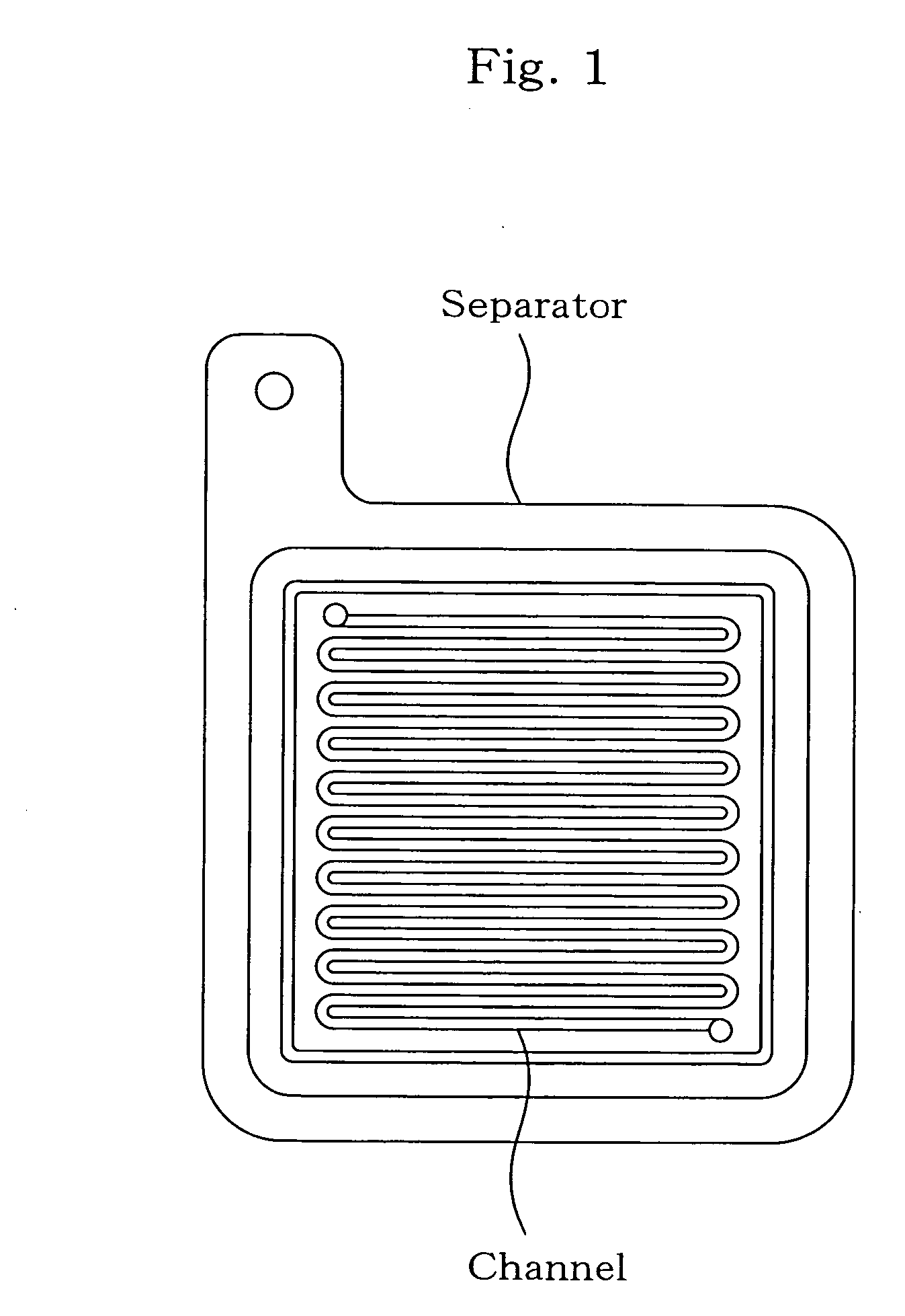 Separator for fuel cell, method for producing the same, and fuel cell using the same