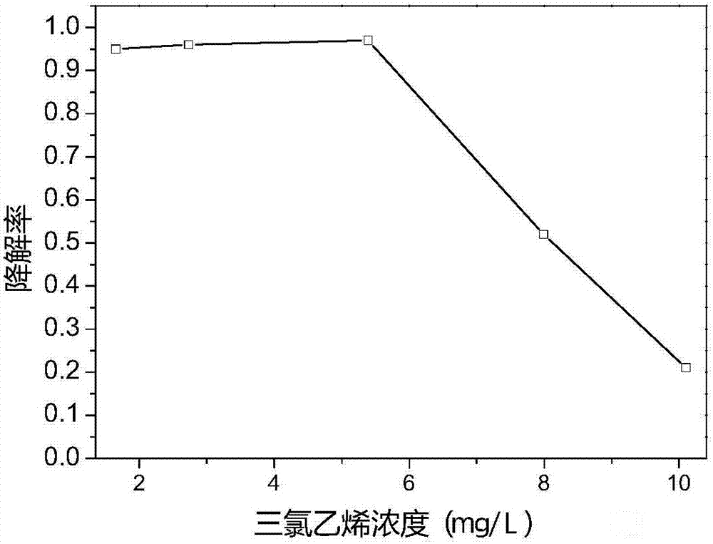 Copper greedy bacteria capable of degrading chlorinated olefins and its application