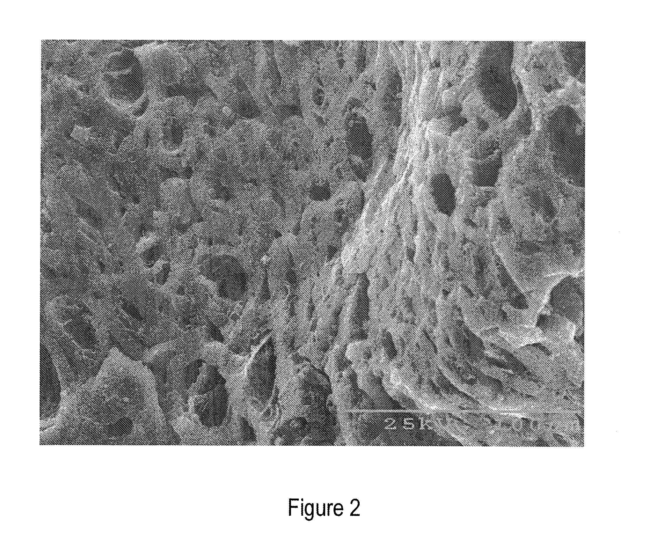 Carbon supported tetraamido macrocyclic ligand catalytic activators and methods for making the same