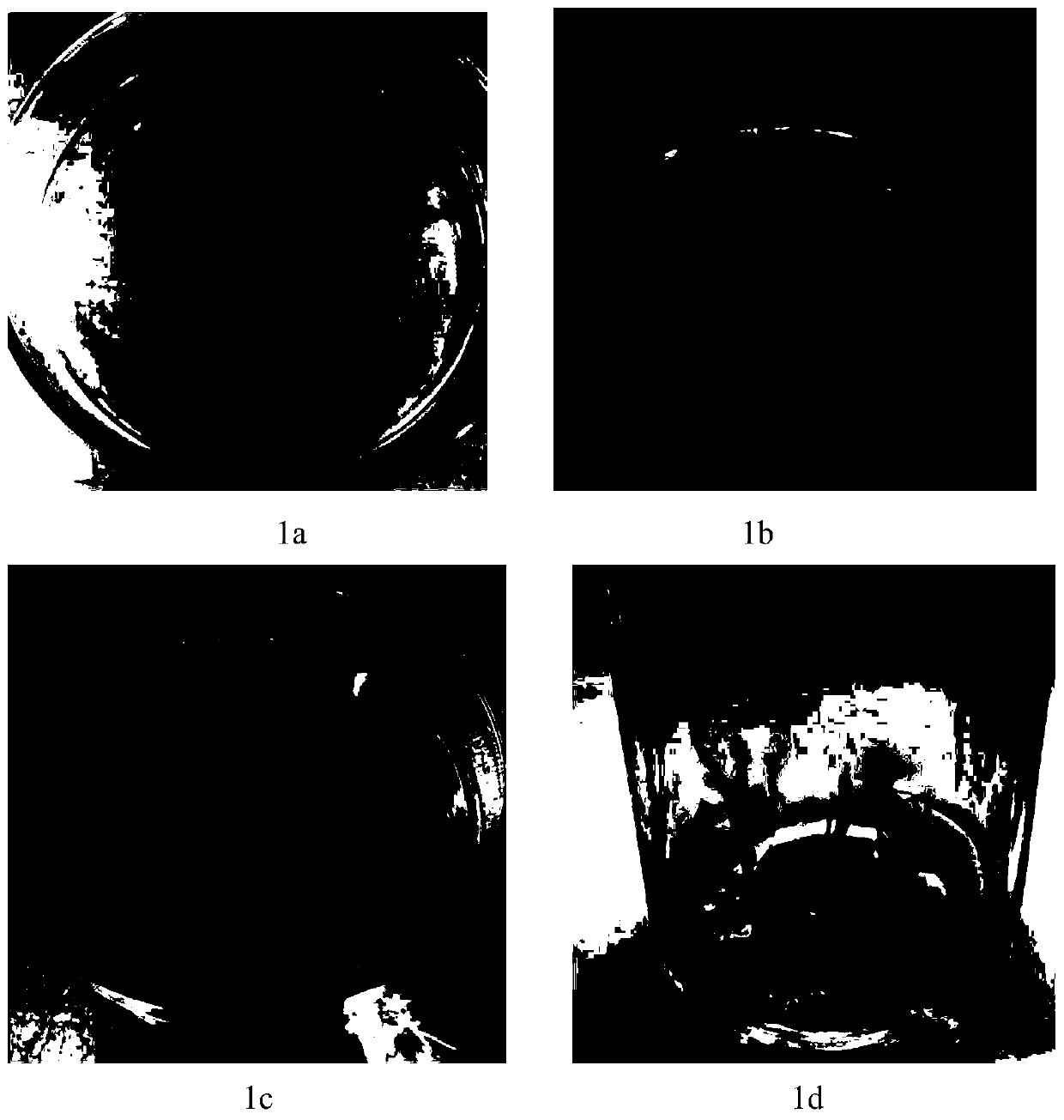 A tissue culture method for inducing differentiated adventitious buds by using Anthurium leaf veins