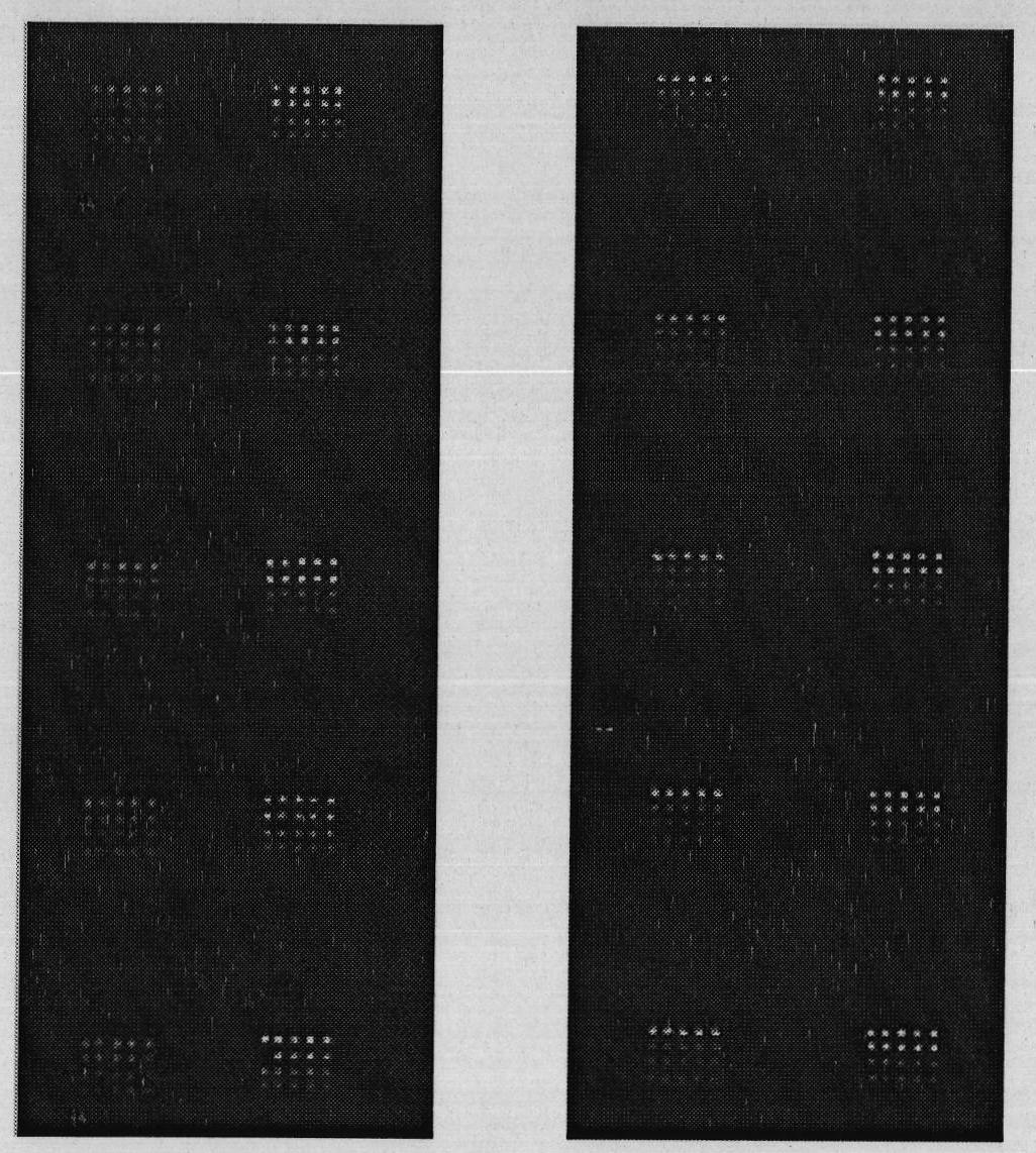 Method for preparing double-epoxy modified biochip substrate