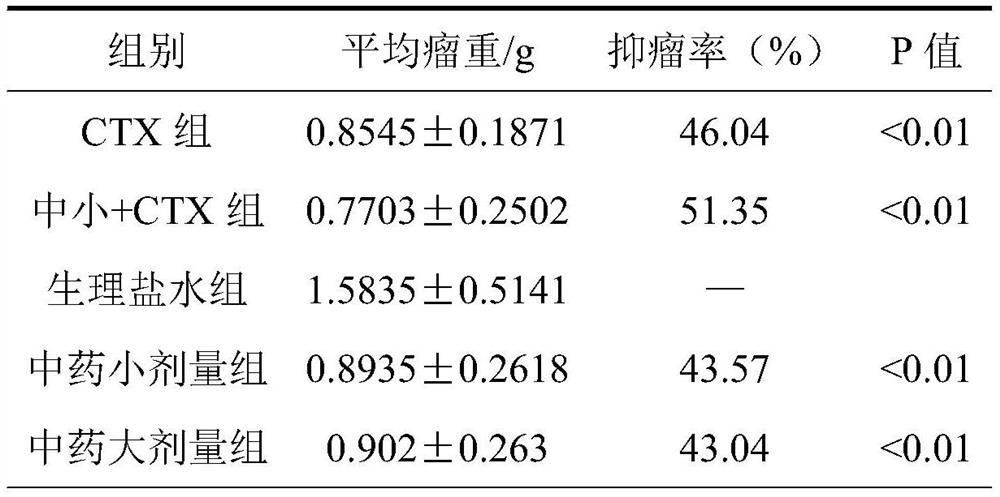 Traditional Chinese medicine composition for treating lung cancer and preparation method and application of traditional Chinese medicine preparation thereof