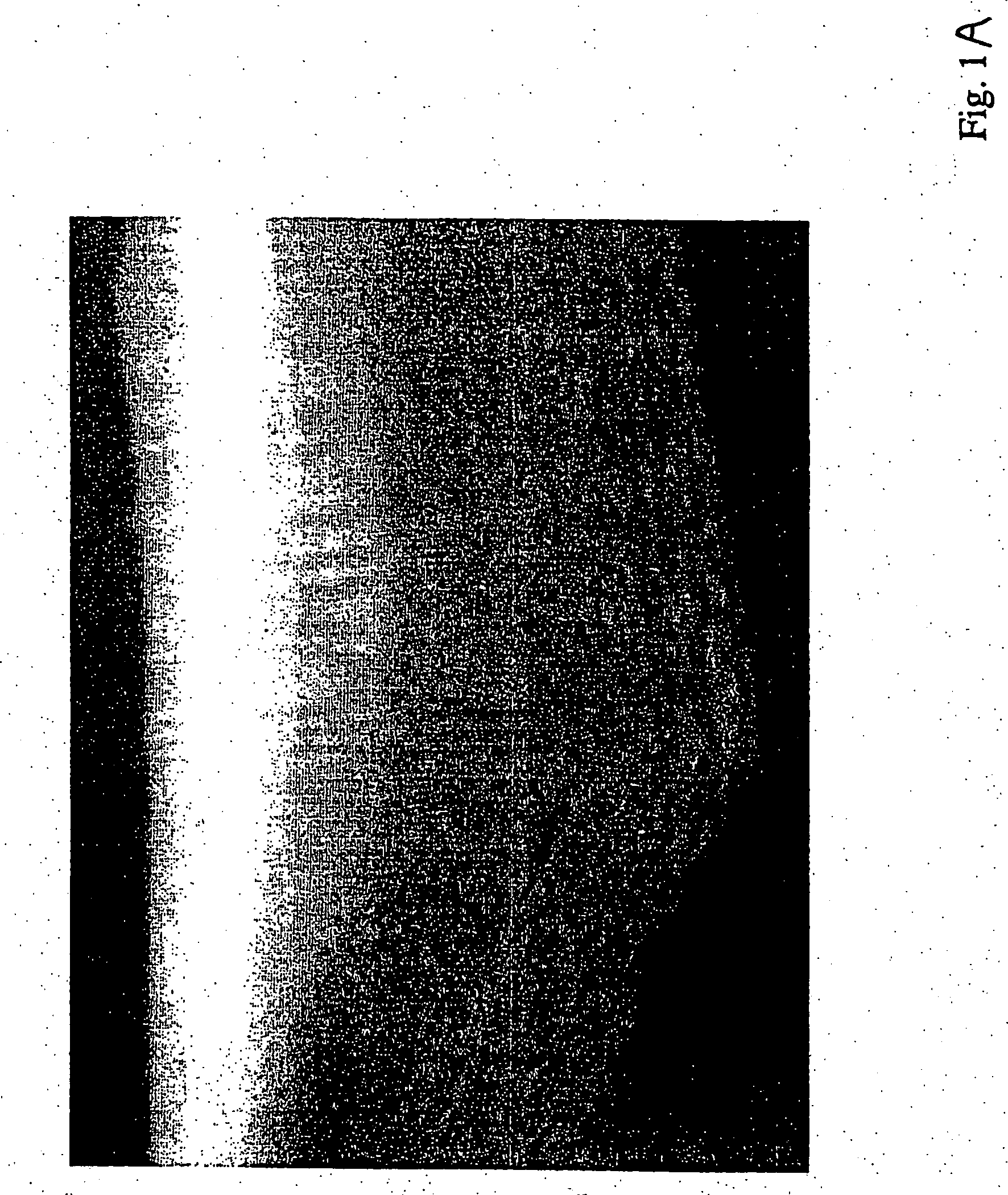 Gutter fillers and packs with enhanced fluid flow