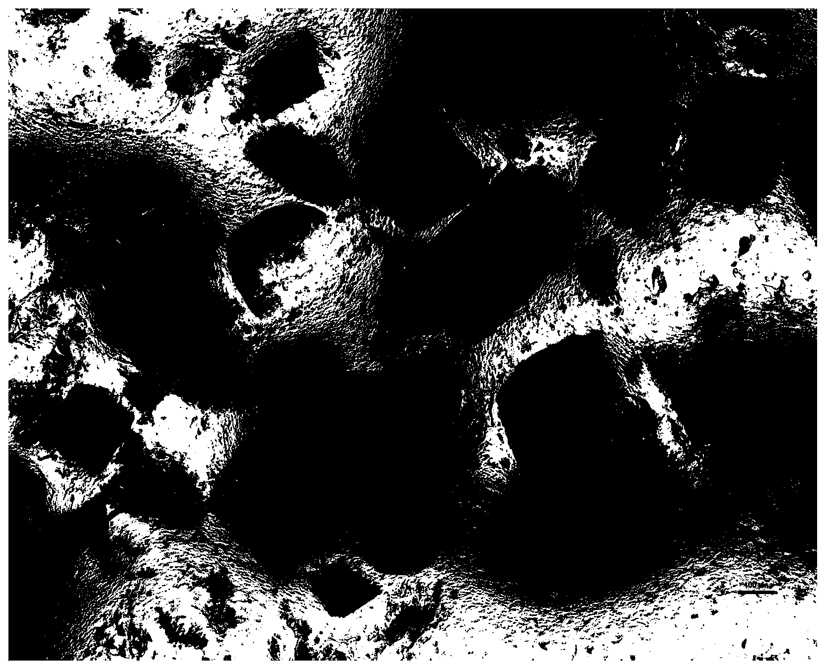 Ultrafine crushing method of cell walls of large alga Gracilaria verrucosa