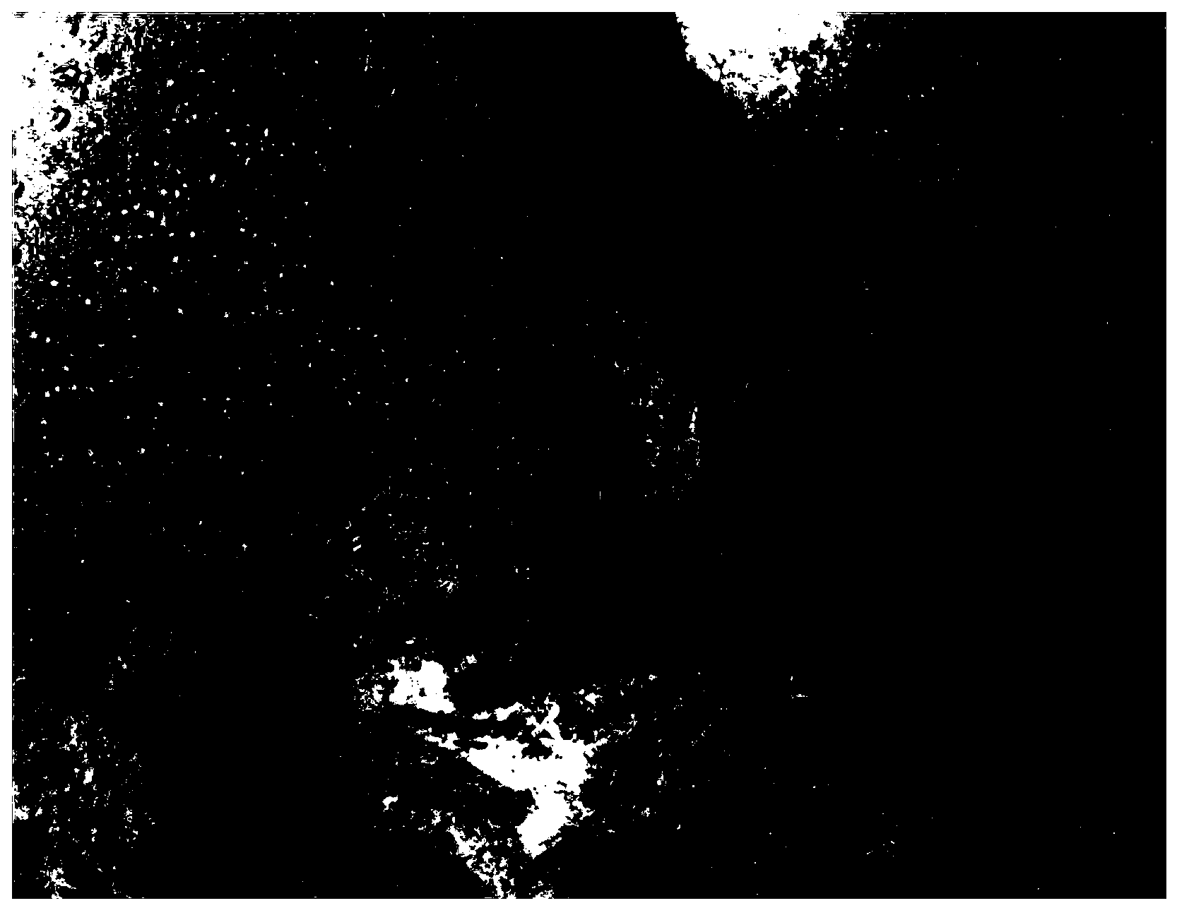 Ultrafine crushing method of cell walls of large alga Gracilaria verrucosa