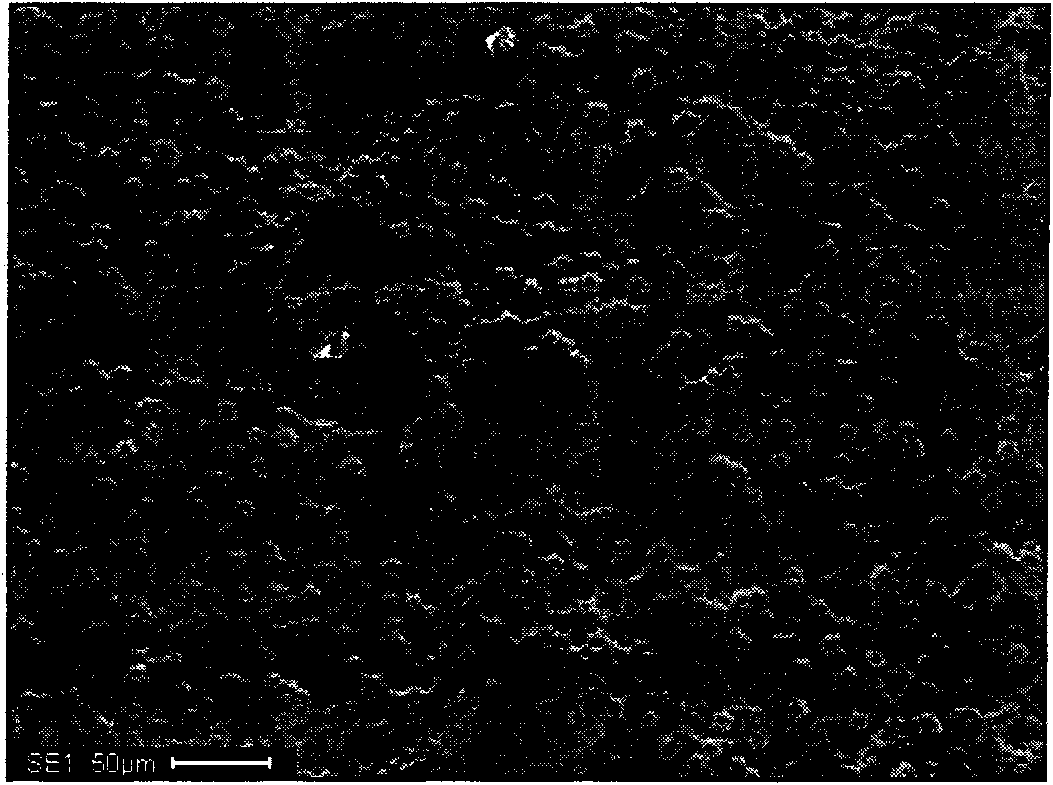 Method for quickly generating apatite on surface of titanium and alloy thereof