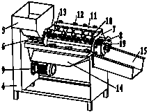 Nut peeling machine